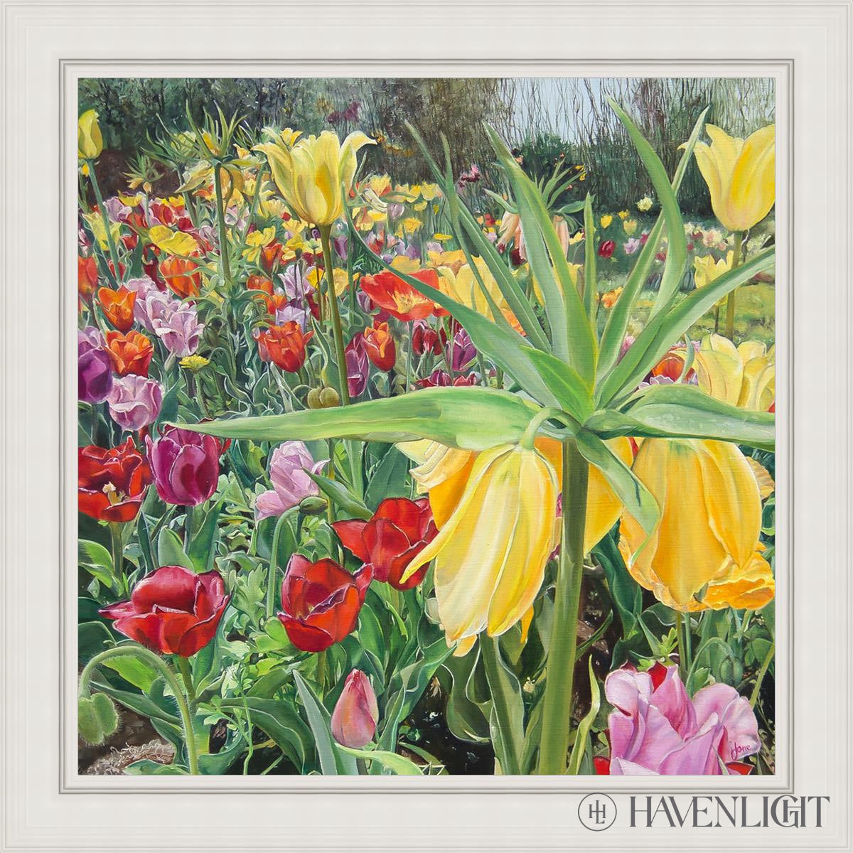Carousel Tulips Open Edition Canvas / 36 X White 43 3/4 Art