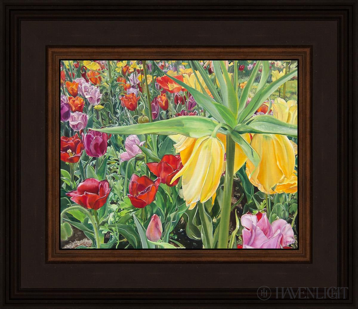 Carousel Tulips Open Edition Print / 10 X 8 Brown 14 3/4 12 Art