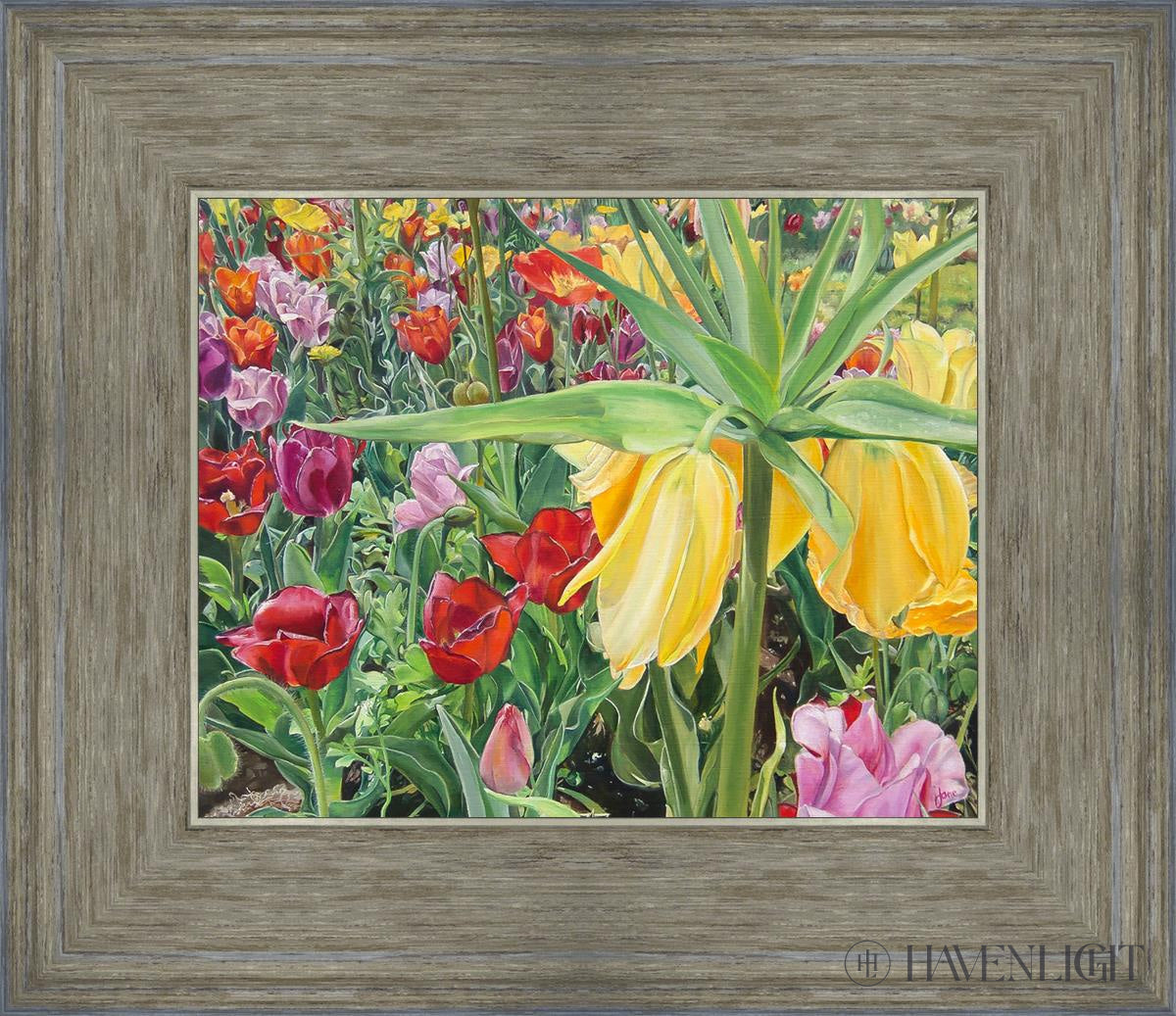 Carousel Tulips Open Edition Print / 10 X 8 Gray 14 3/4 12 Art