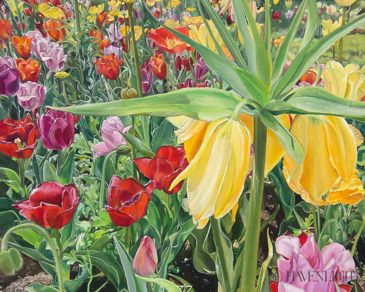 Carousel Tulips Open Edition Print / 10 X 8 Only Art
