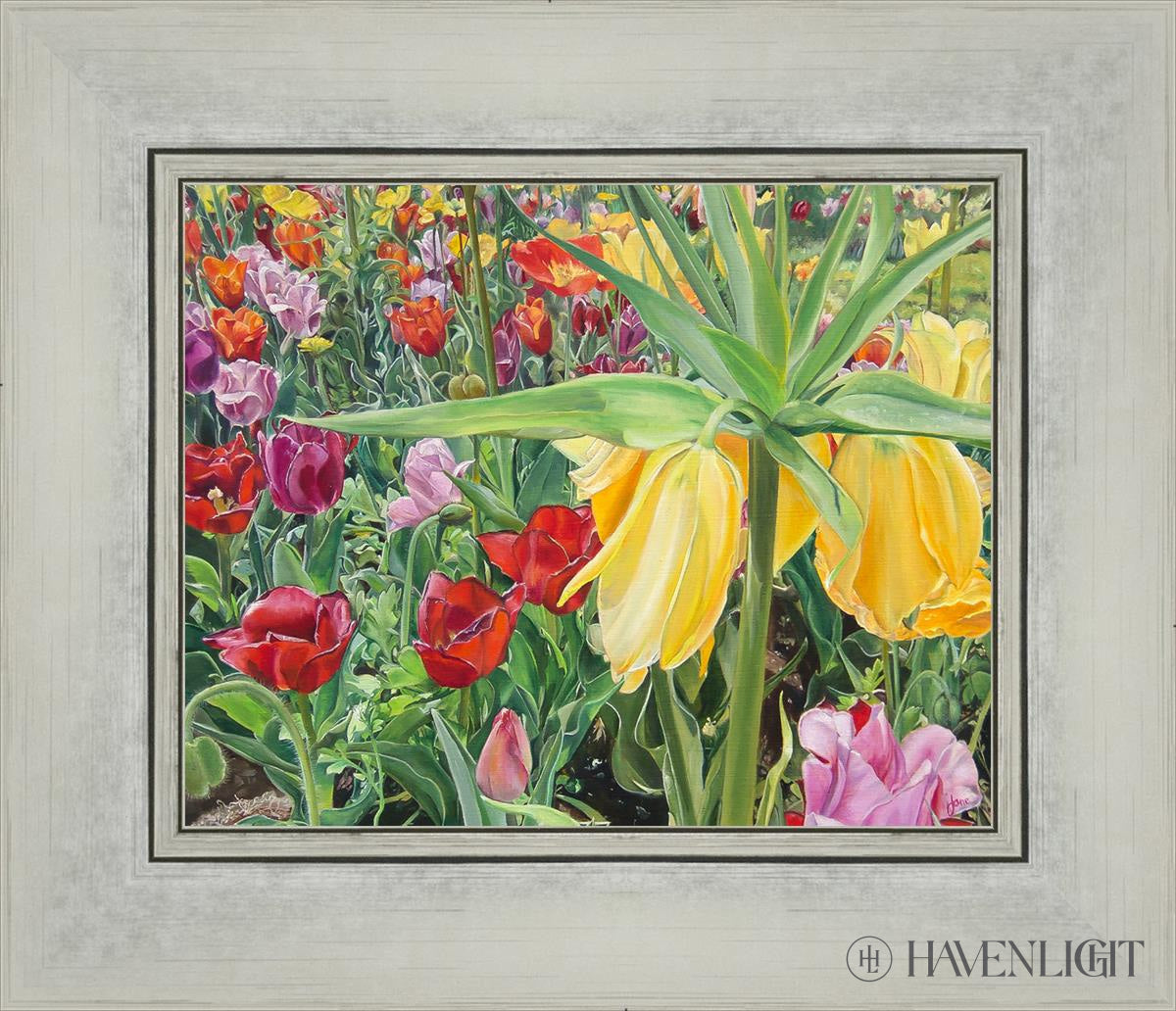 Carousel Tulips Open Edition Print / 10 X 8 Silver 14 1/4 12 Art