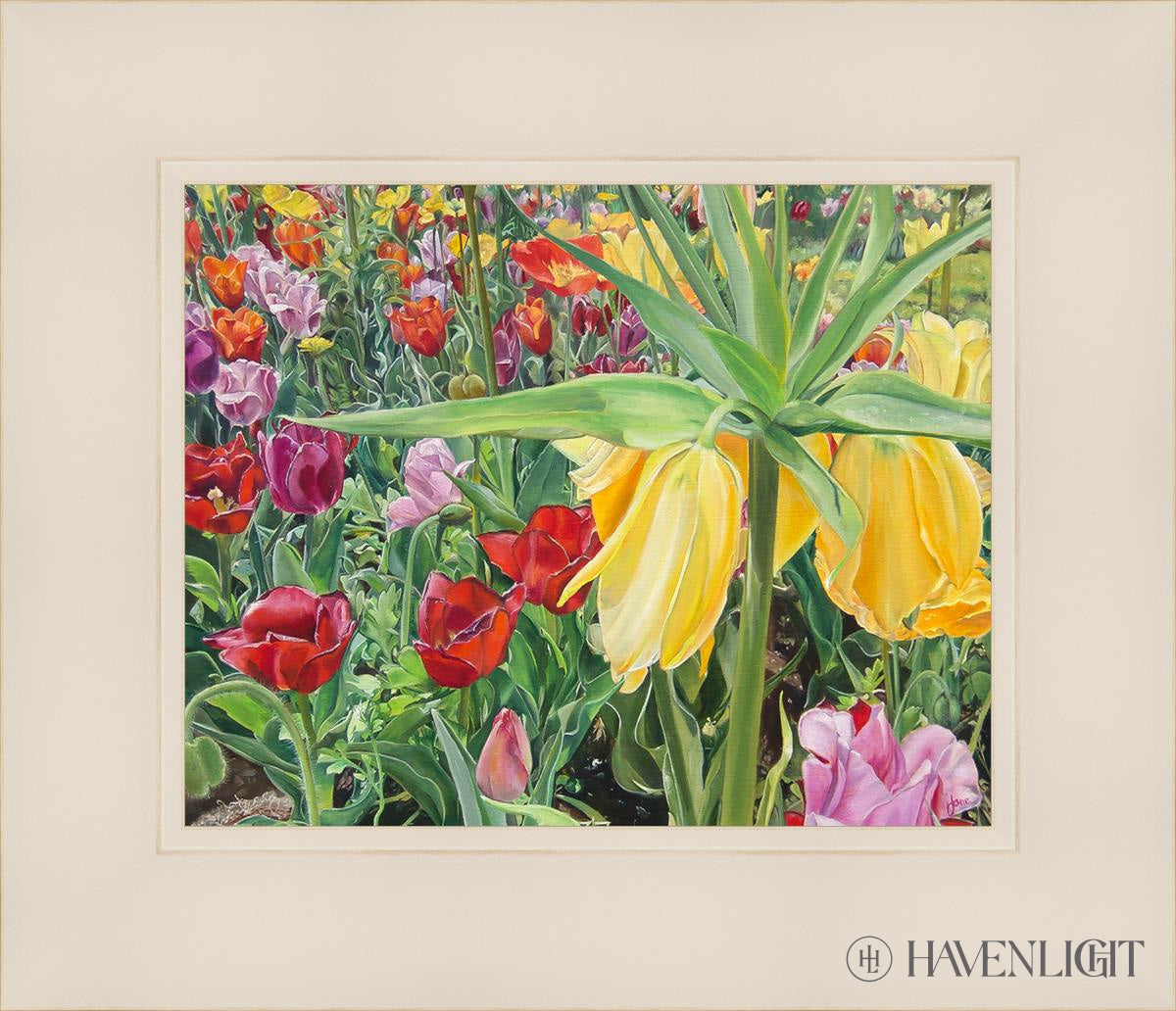 Carousel Tulips Open Edition Print / 10 X 8 White 14 1/4 12 Art