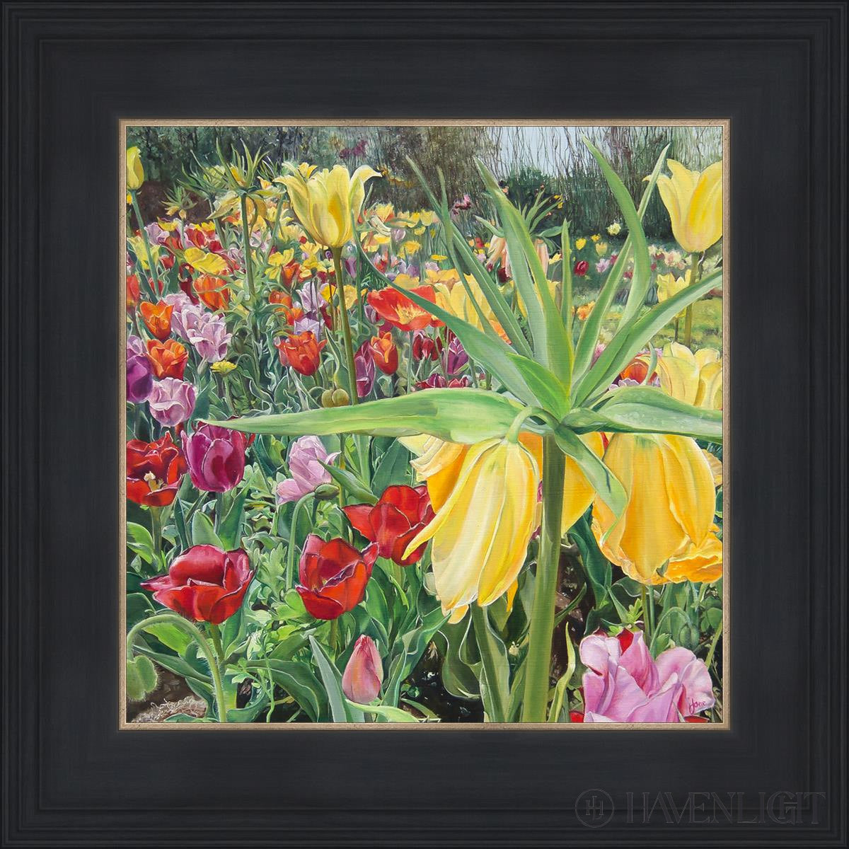 Carousel Tulips Open Edition Print / 12 X Black 16 3/4 Art