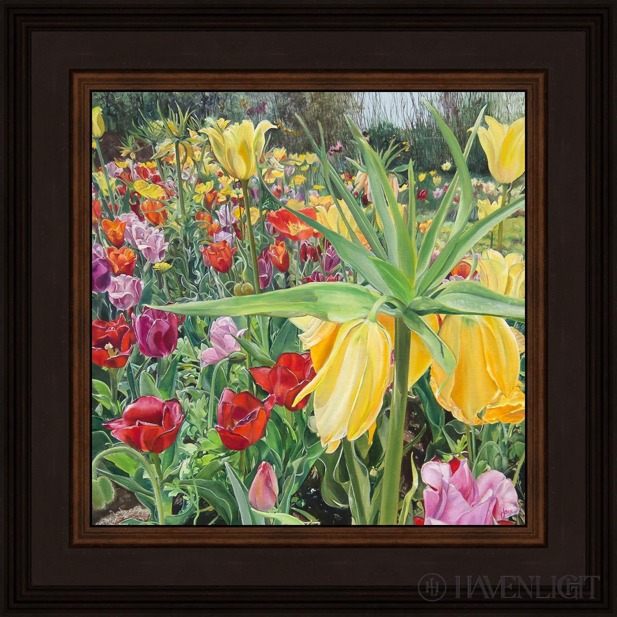 Carousel Tulips Open Edition Print / 12 X Brown 16 3/4 Art