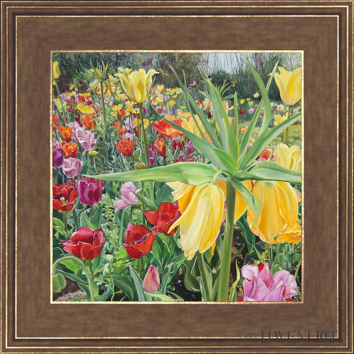 Carousel Tulips Open Edition Print / 12 X Gold 16 3/4 Art