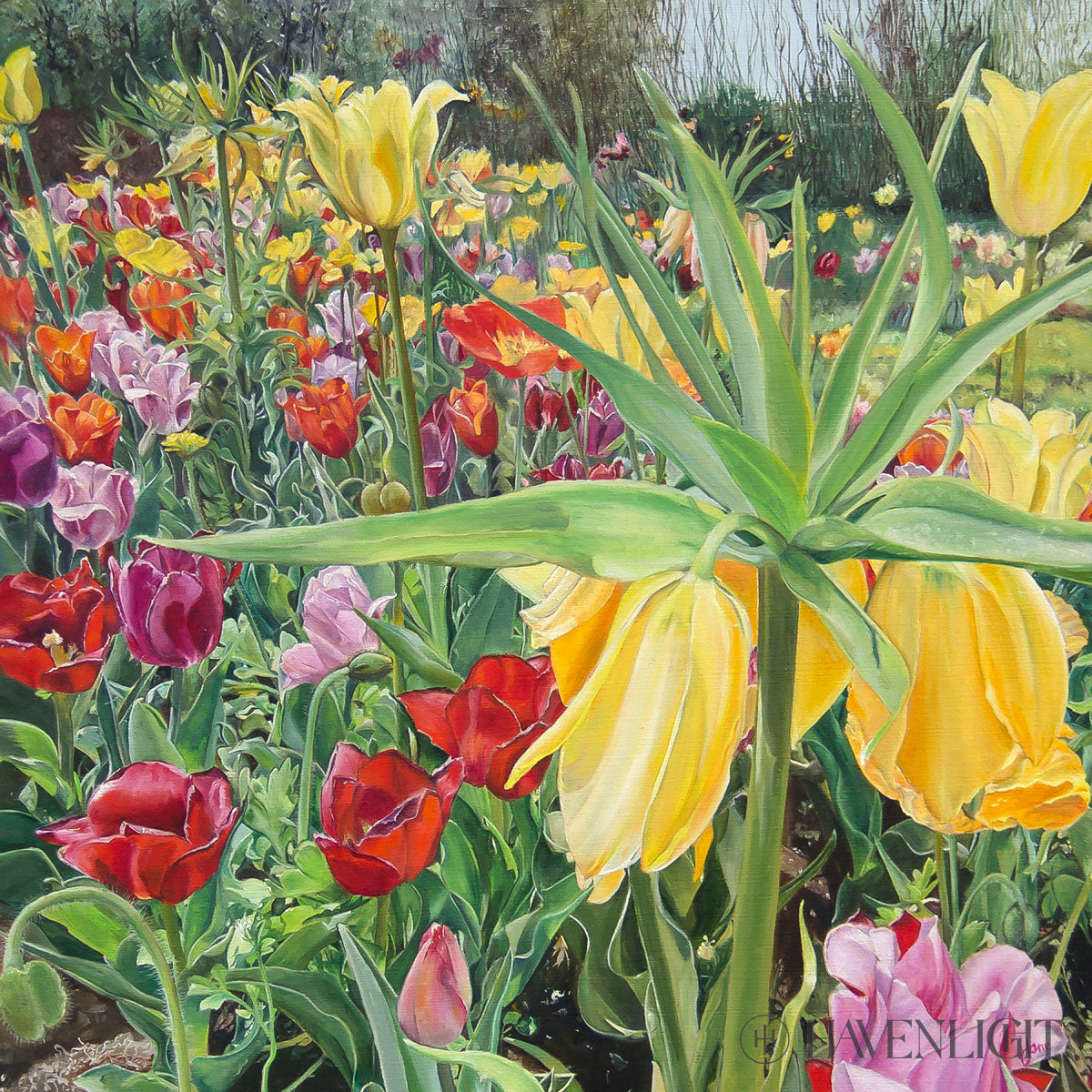 Carousel Tulips Open Edition Print / 12 X Only Art