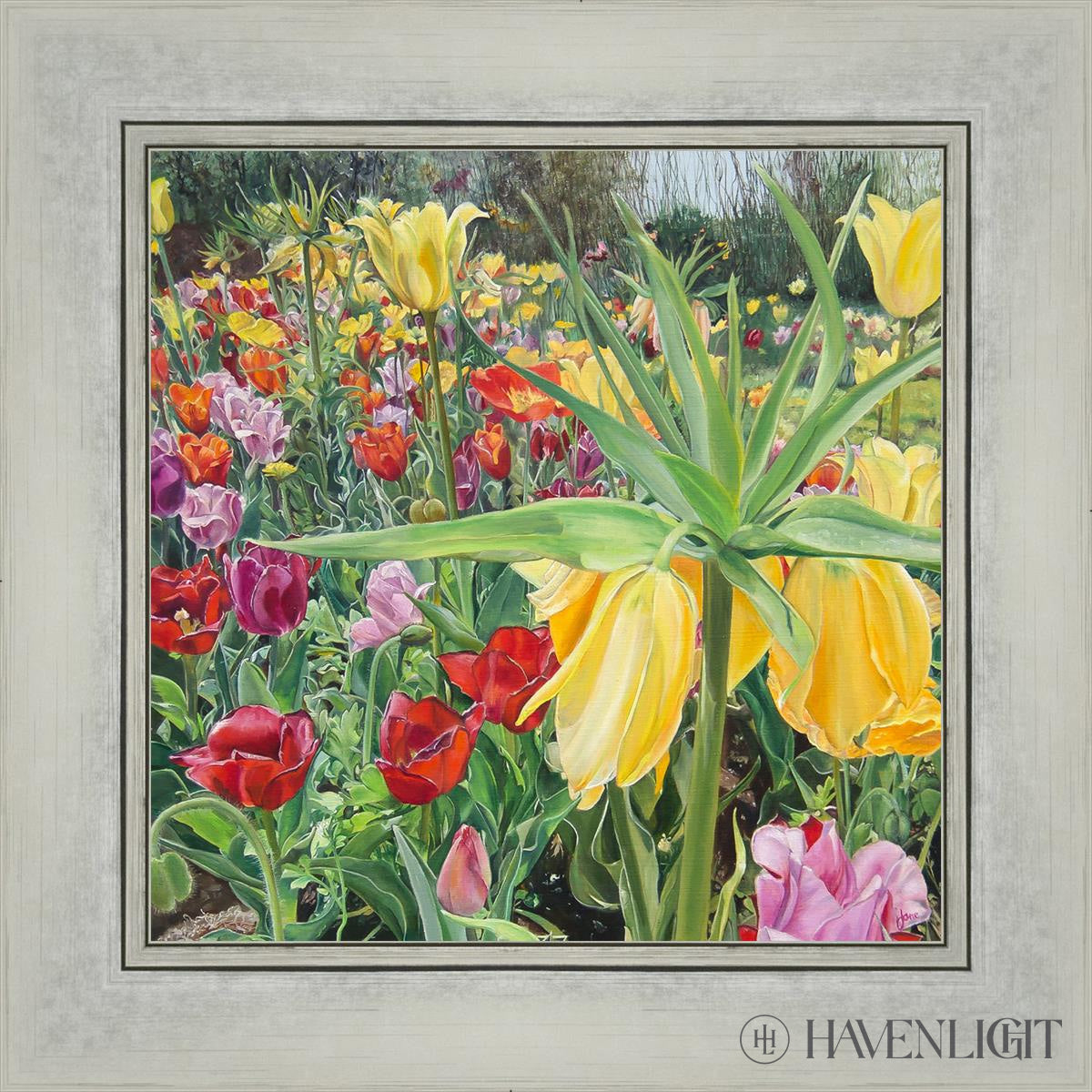 Carousel Tulips Open Edition Print / 12 X Silver 16 1/4 Art