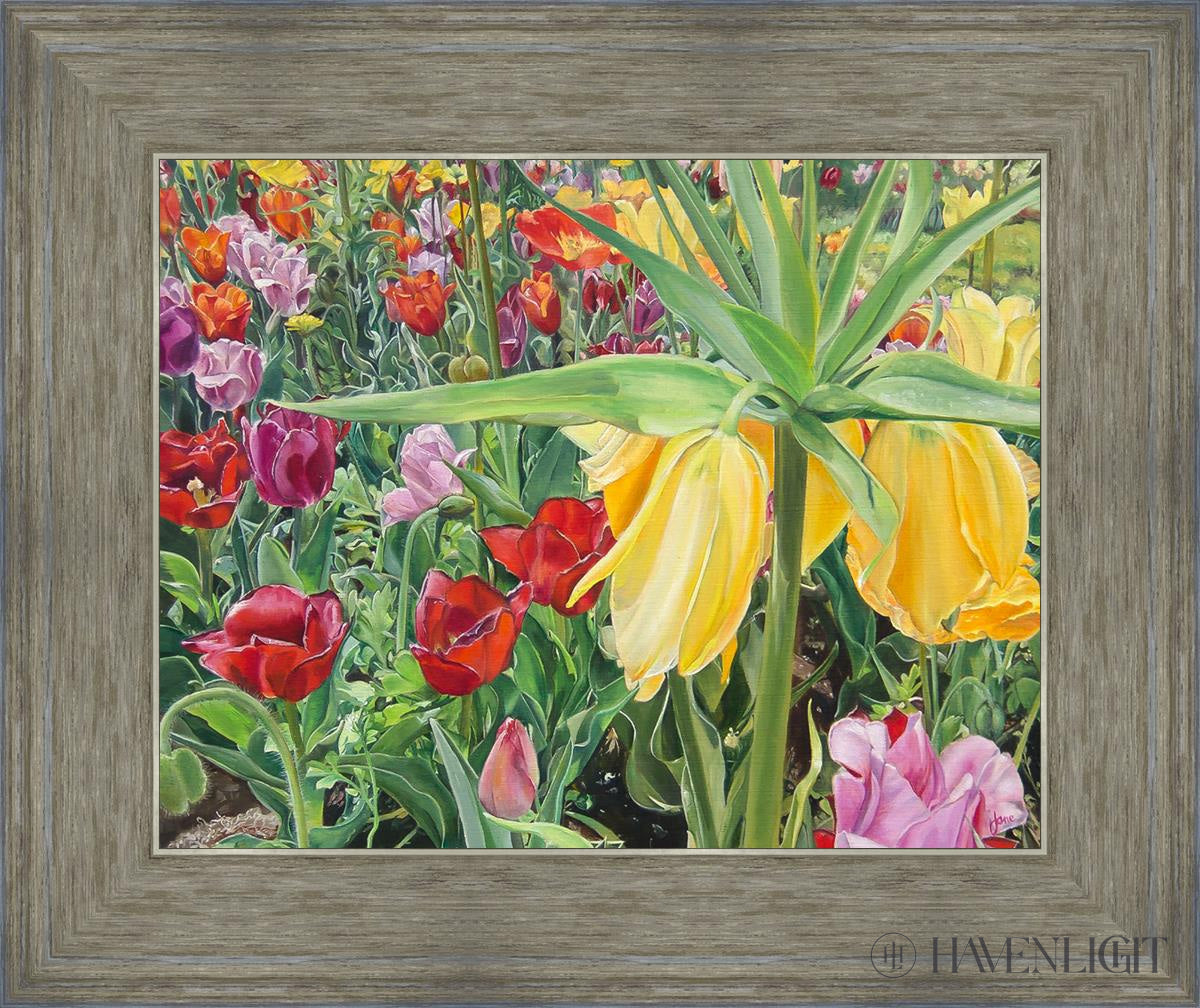 Carousel Tulips Open Edition Print / 14 X 11 Gray 18 3/4 15 Art