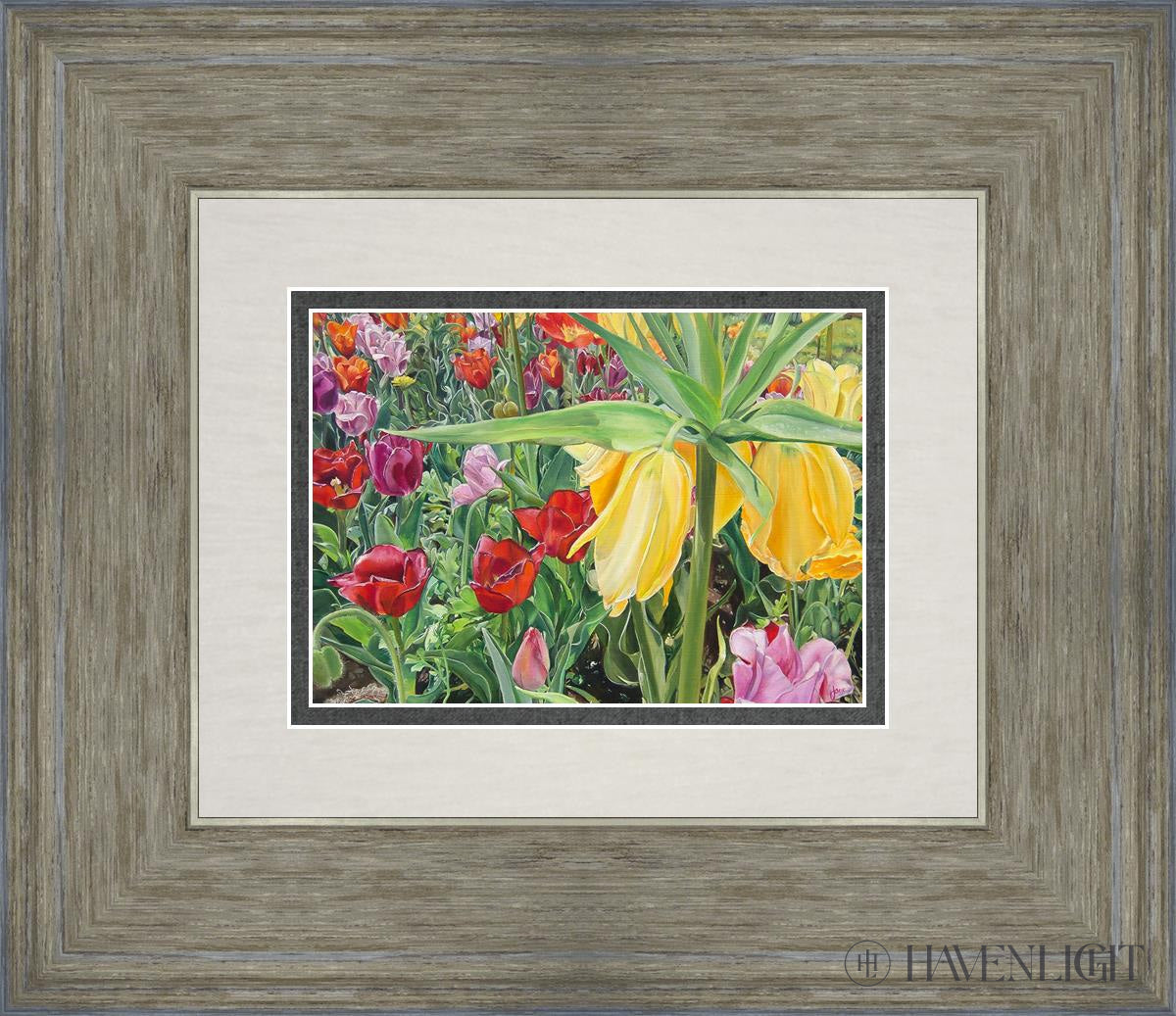 Carousel Tulips Open Edition Print / 7 X 5 Gray 14 3/4 12 Art