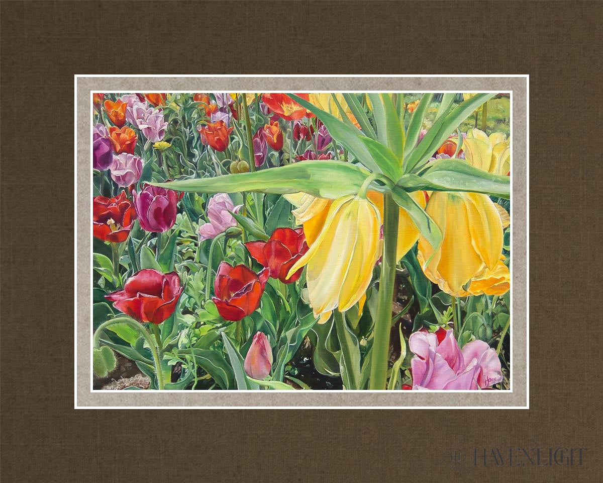 Carousel Tulips Open Edition Print / 7 X 5 Matted To 10 8 Art