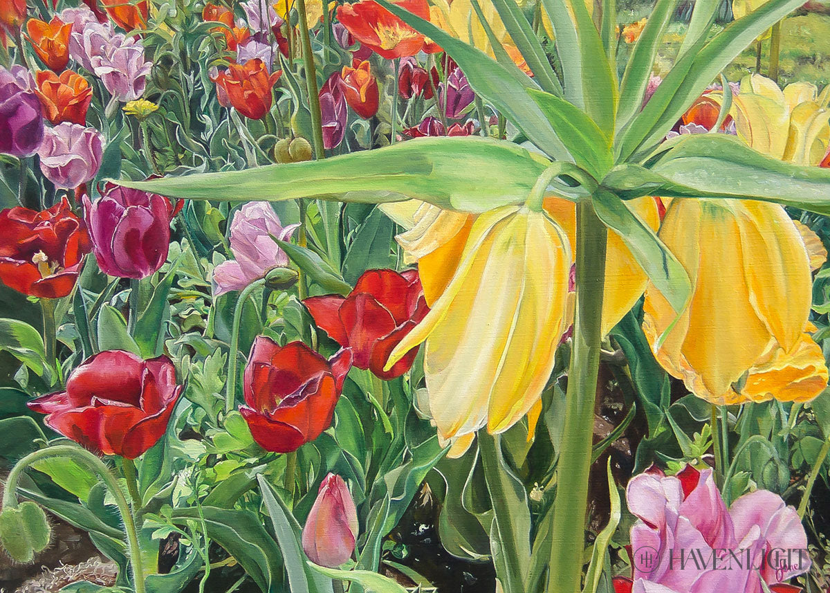 Carousel Tulips Open Edition Print / 7 X 5 Only Art