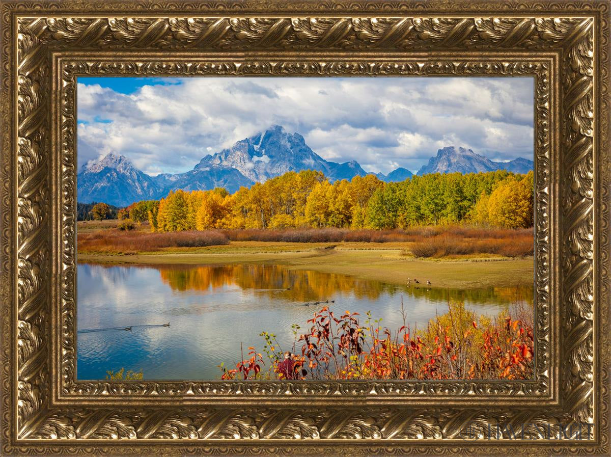 Changing Seasons Open Edition Canvas / 18 X 12 Gold 23 3/4 17 Art