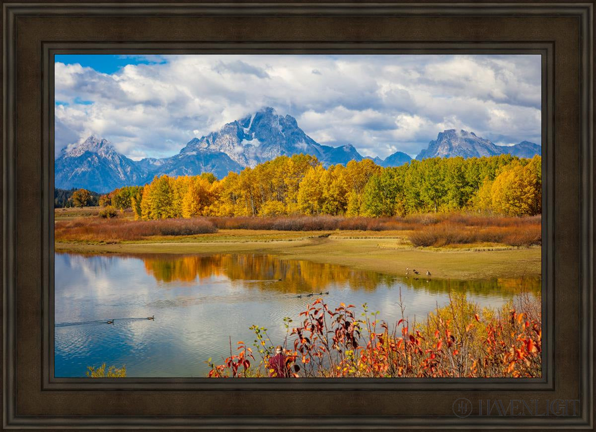 Changing Seasons Open Edition Canvas / 36 X 24 Brown 43 3/4 31 Art