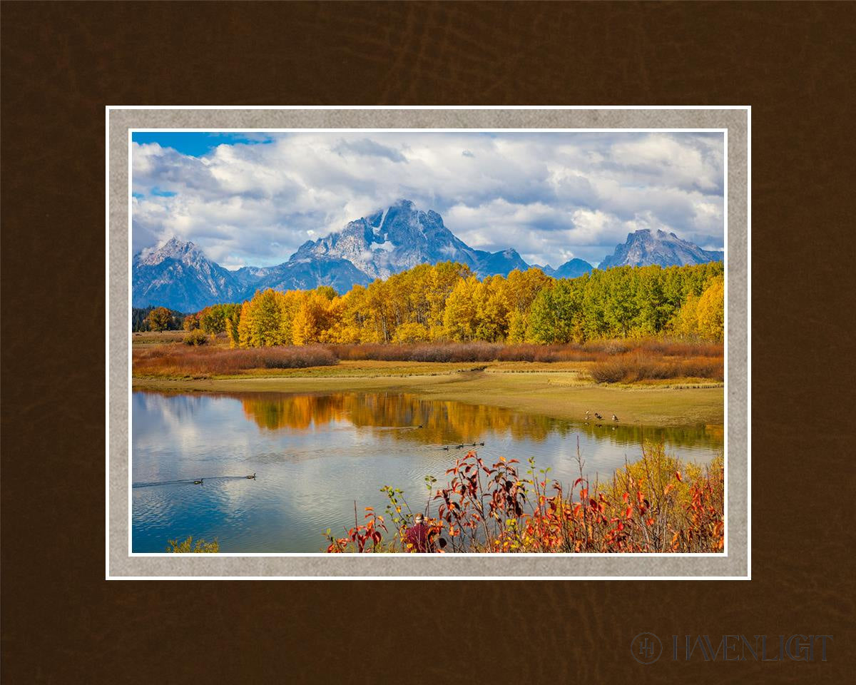Changing Seasons Open Edition Print / 7 X 5 Matted To 10 8 Art