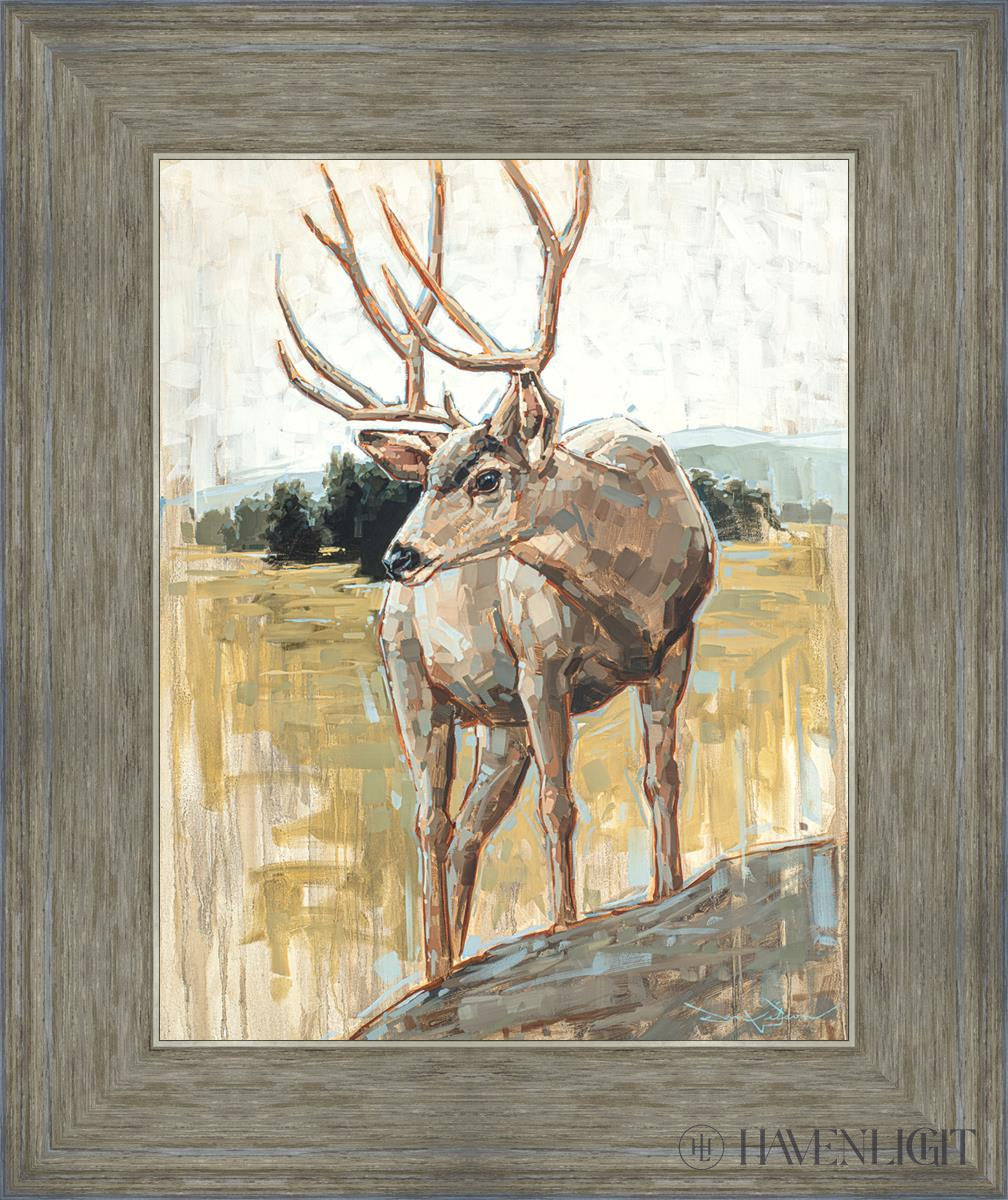 Colors Of The Wild Open Edition Print / 11 X 14 Gray 15 3/4 18 Art