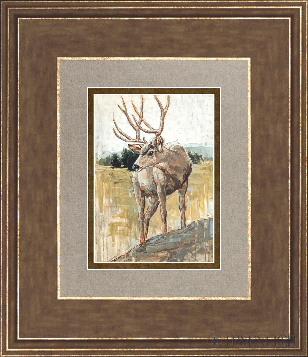Colors Of The Wild Open Edition Print / 5 X 7 Gold 12 3/4 14 Art