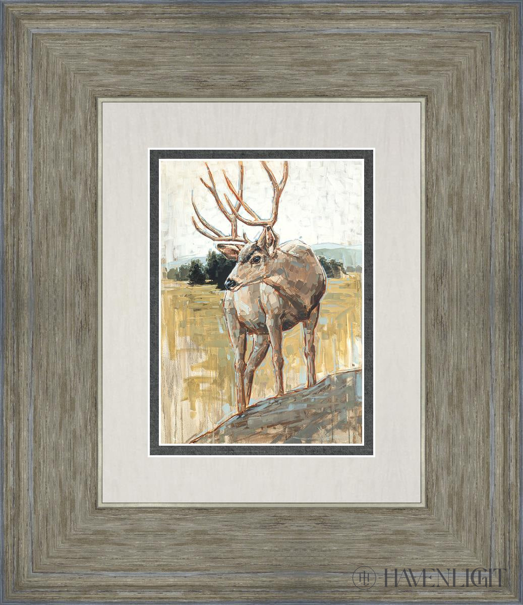 Colors Of The Wild Open Edition Print / 5 X 7 Gray 12 3/4 14 Art