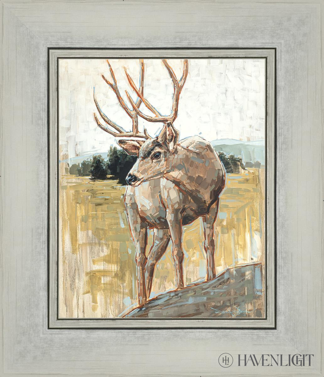 Colors Of The Wild Open Edition Print / 8 X 10 Silver 12 1/4 14 Art