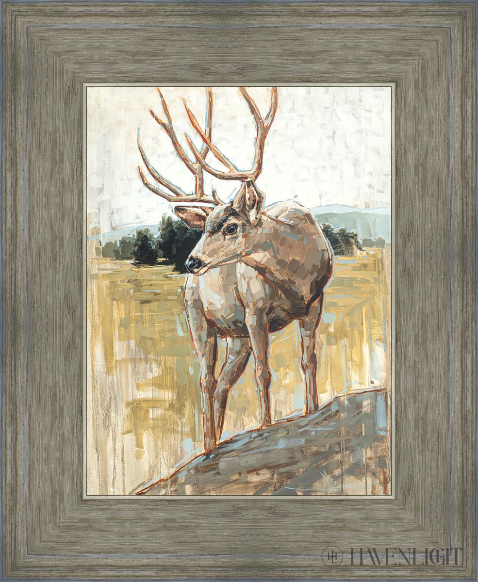 Colors Of The Wild Open Edition Print / 9 X 12 Gray 13 3/4 16 Art