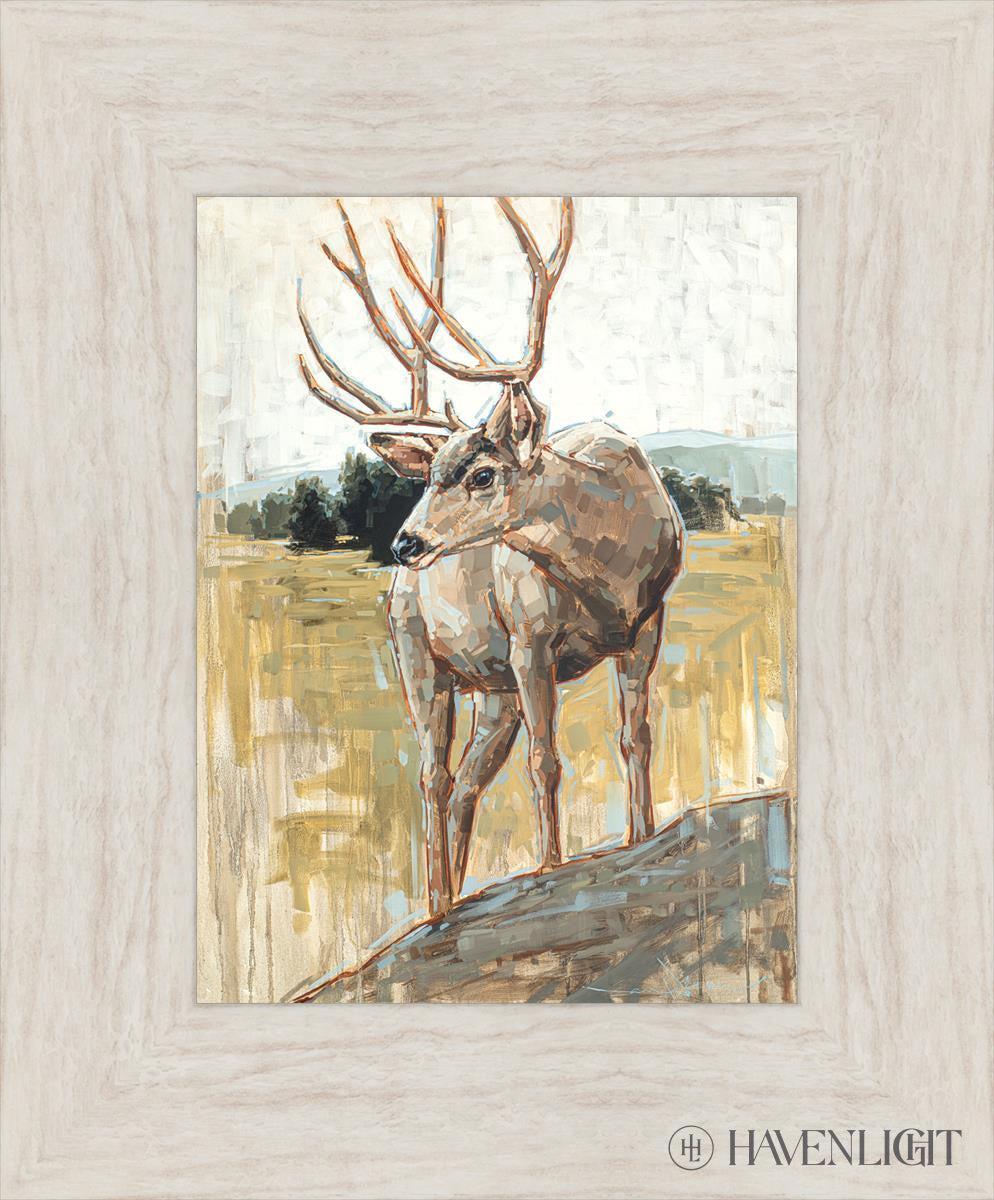 Colors Of The Wild Open Edition Print / 9 X 12 Ivory 14 1/2 17 Art