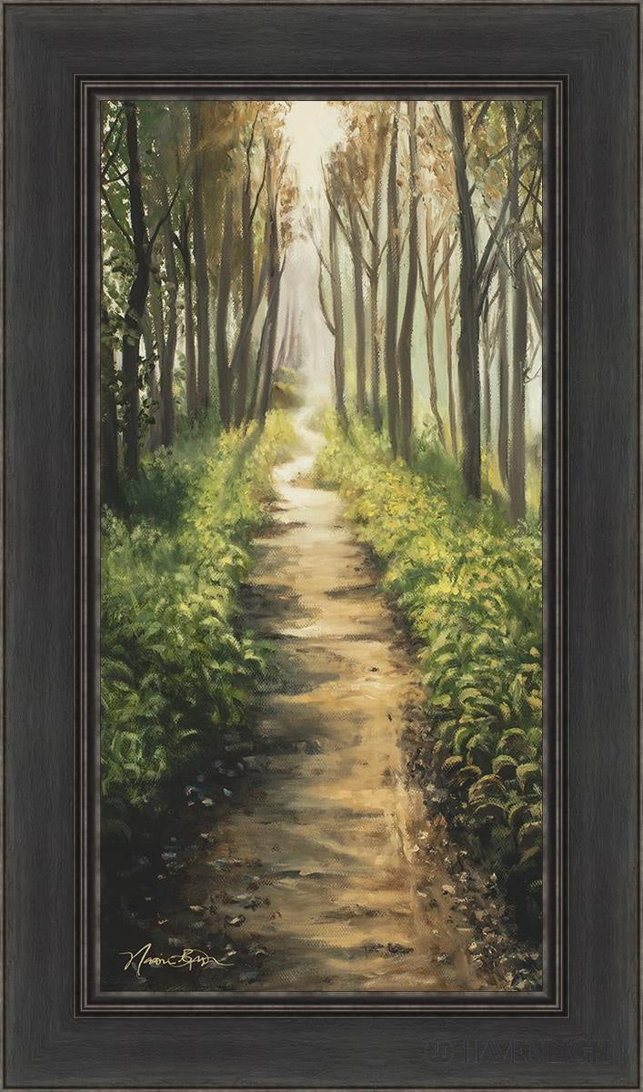 Enjoy The Beauty On Your Broken Path Forest Walkway Open Edition Canvas / 15 X 30 Black 21 1/2 36
