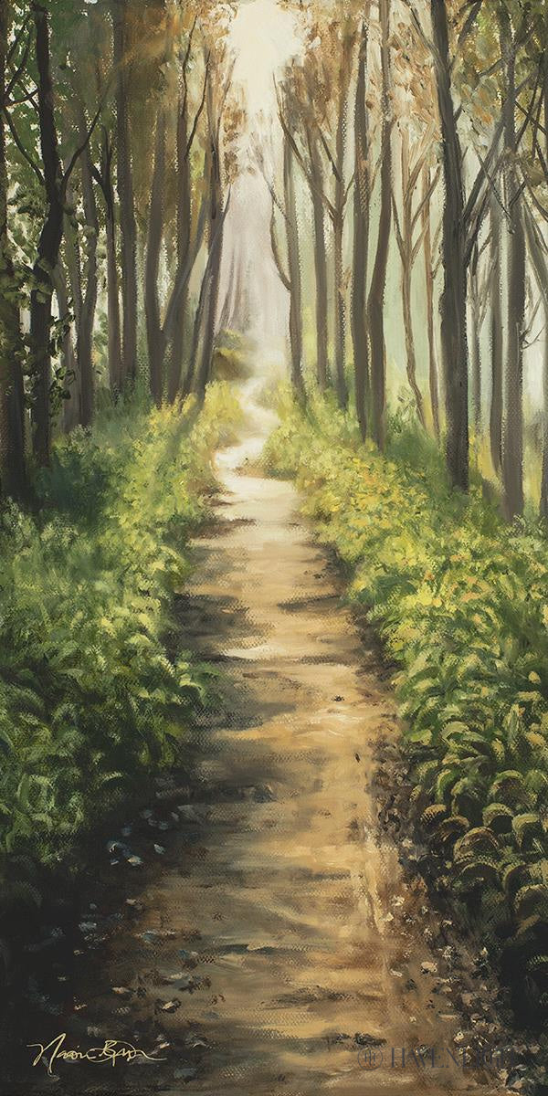 Enjoy The Beauty On Your Broken Path Forest Walkway Open Edition Canvas / 15 X 30 Rolled In Tube Art
