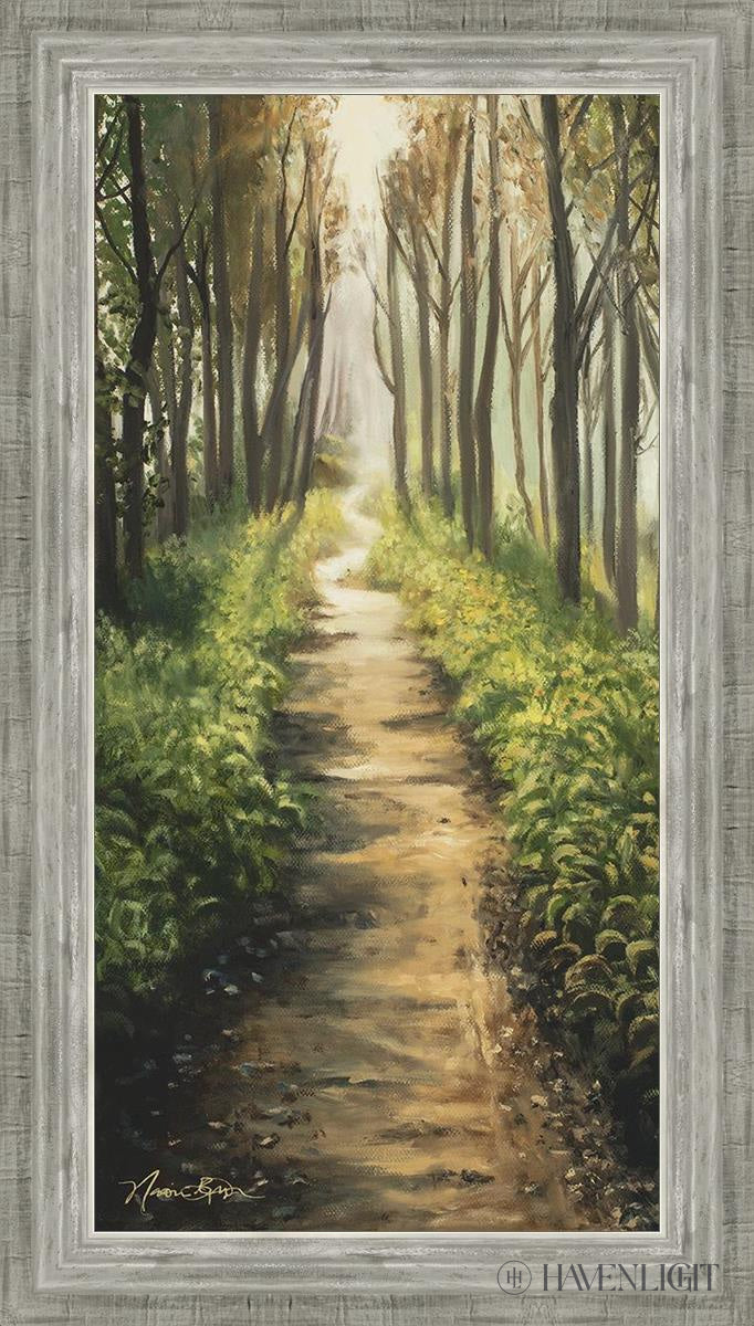 Enjoy The Beauty On Your Broken Path Forest Walkway Open Edition Canvas / 15 X 30 Silver 19 3/4 34