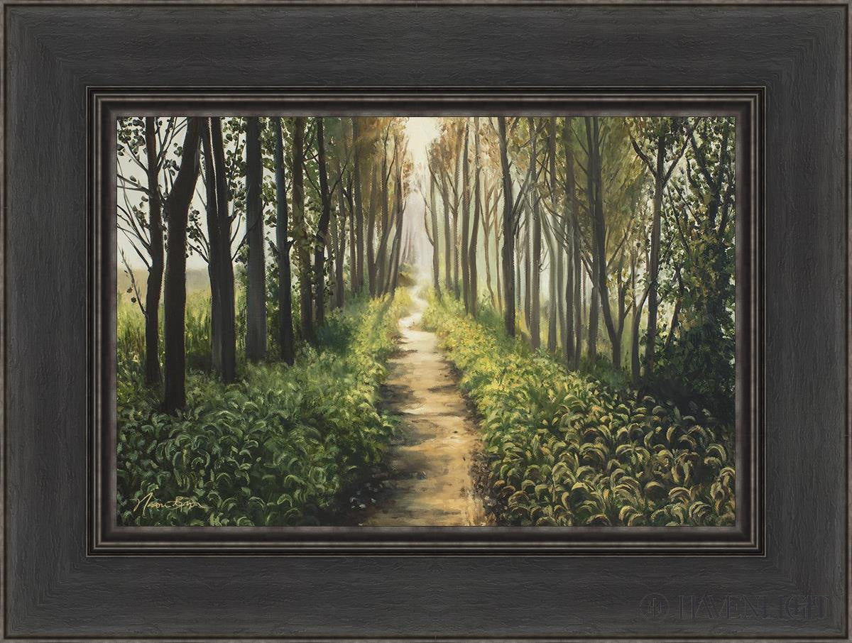 Enjoy The Beauty On Your Broken Path Forest Walkway Open Edition Canvas / 18 X 12 Black 24 1/2 Art