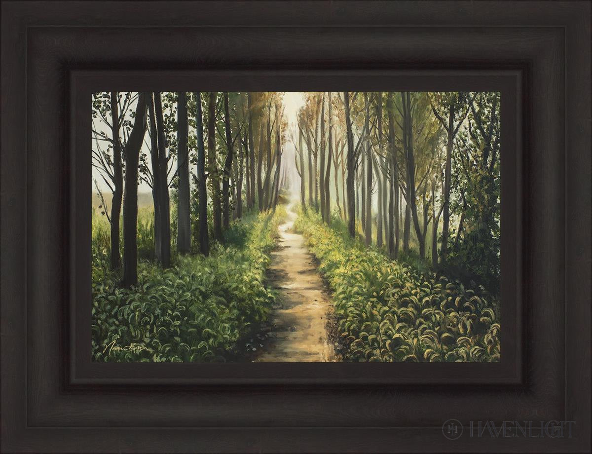 Enjoy The Beauty On Your Broken Path Forest Walkway Open Edition Canvas / 18 X 12 Brown 25 3/4 19
