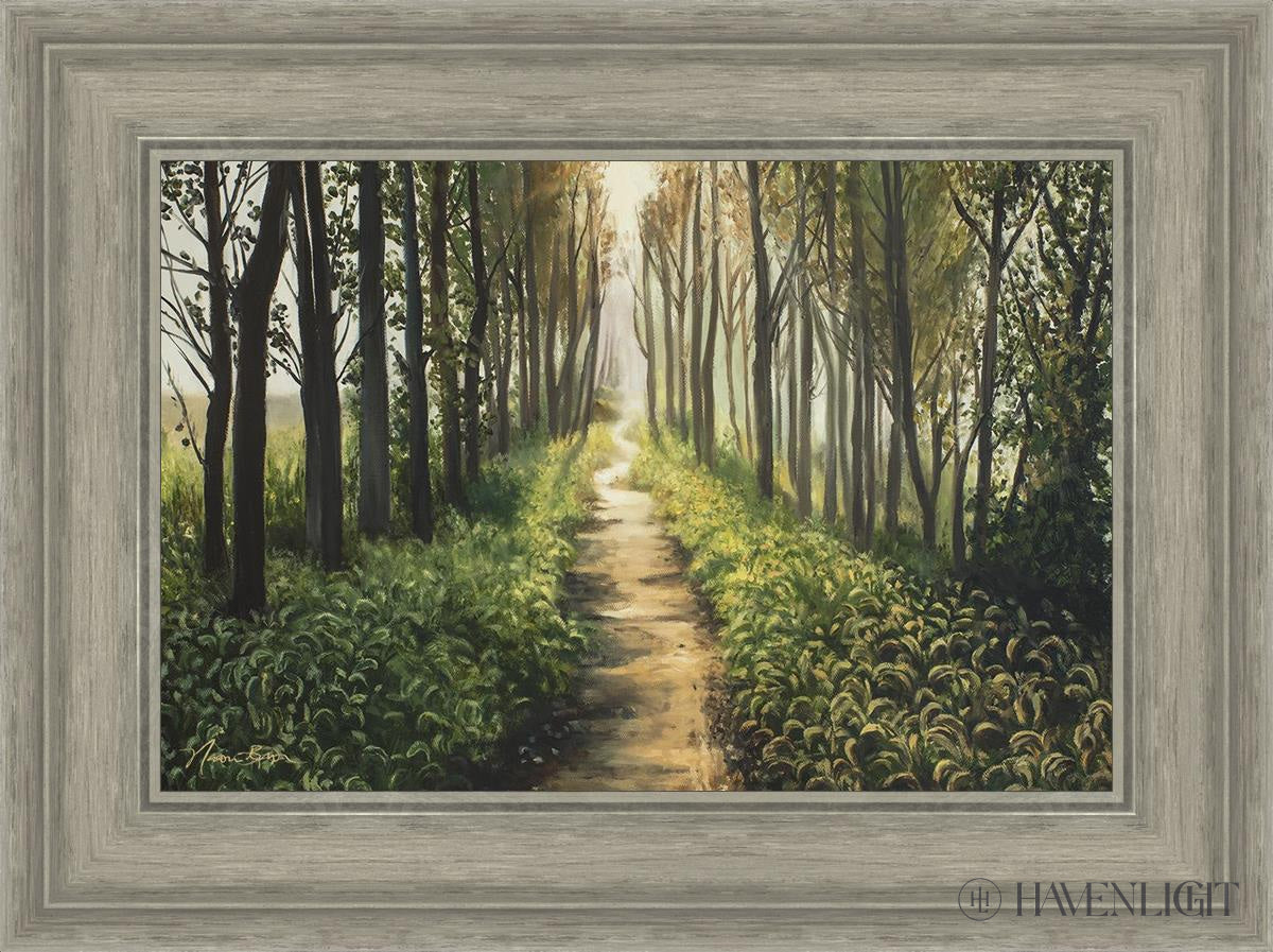 Enjoy The Beauty On Your Broken Path Forest Walkway Open Edition Canvas / 18 X 12 Gray 23 3/4 17 Art