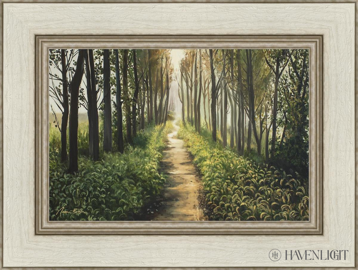 Enjoy The Beauty On Your Broken Path Forest Walkway Open Edition Canvas / 18 X 12 Ivory 24 1/2 Art