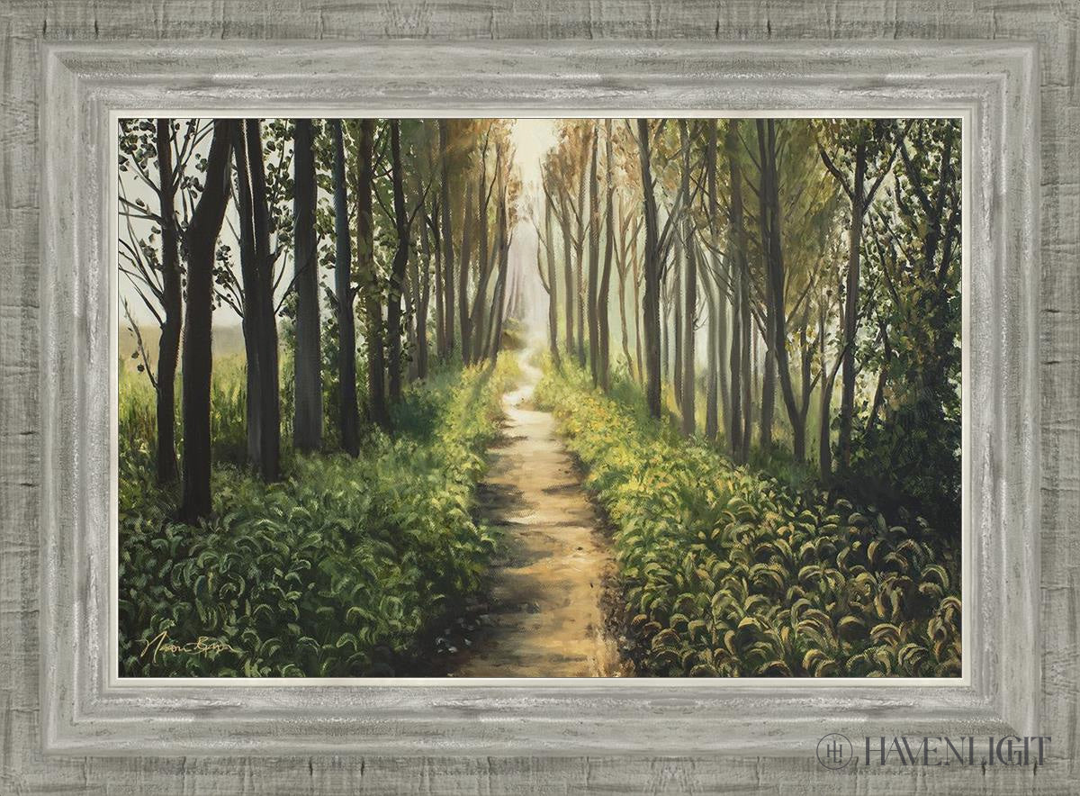 Enjoy The Beauty On Your Broken Path Forest Walkway Open Edition Canvas / 18 X 12 Silver 22 3/4 16