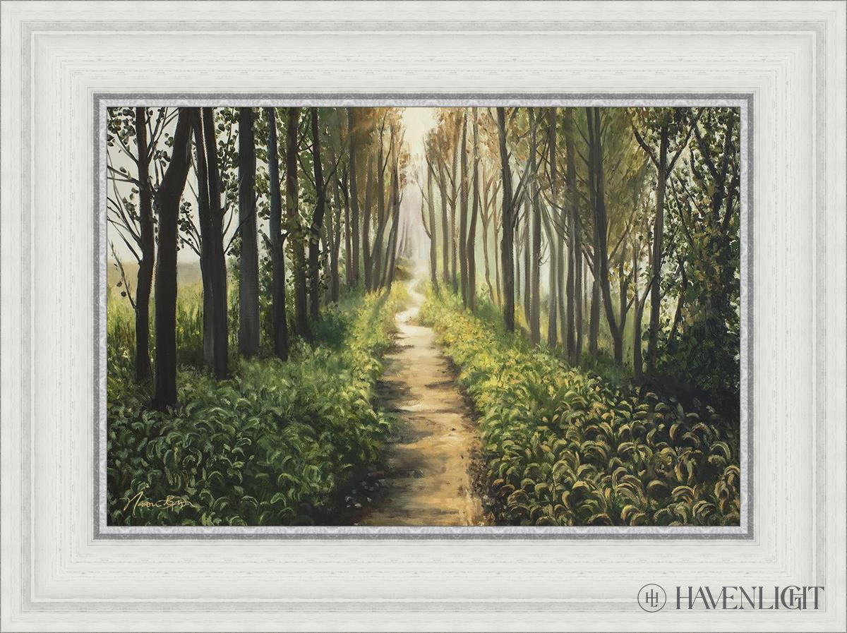 Enjoy The Beauty On Your Broken Path Forest Walkway Open Edition Canvas / 18 X 12 White 23 3/4 17