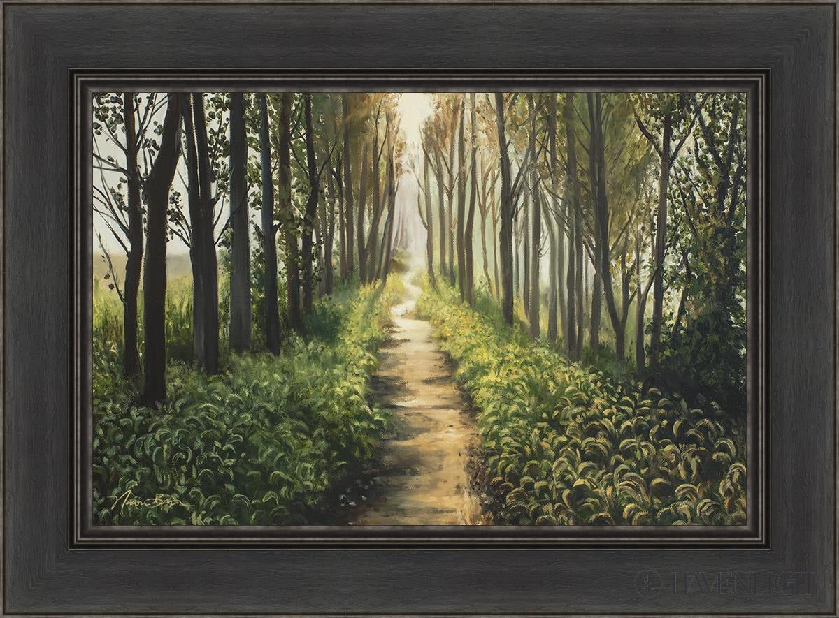 Enjoy The Beauty On Your Broken Path Forest Walkway Open Edition Canvas / 24 X 16 Black 30 1/2 22
