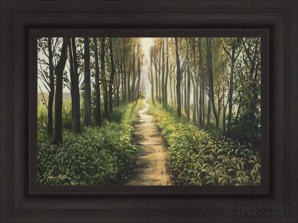 Enjoy The Beauty On Your Broken Path Forest Walkway Open Edition Canvas / 24 X 16 Brown 31 3/4 23