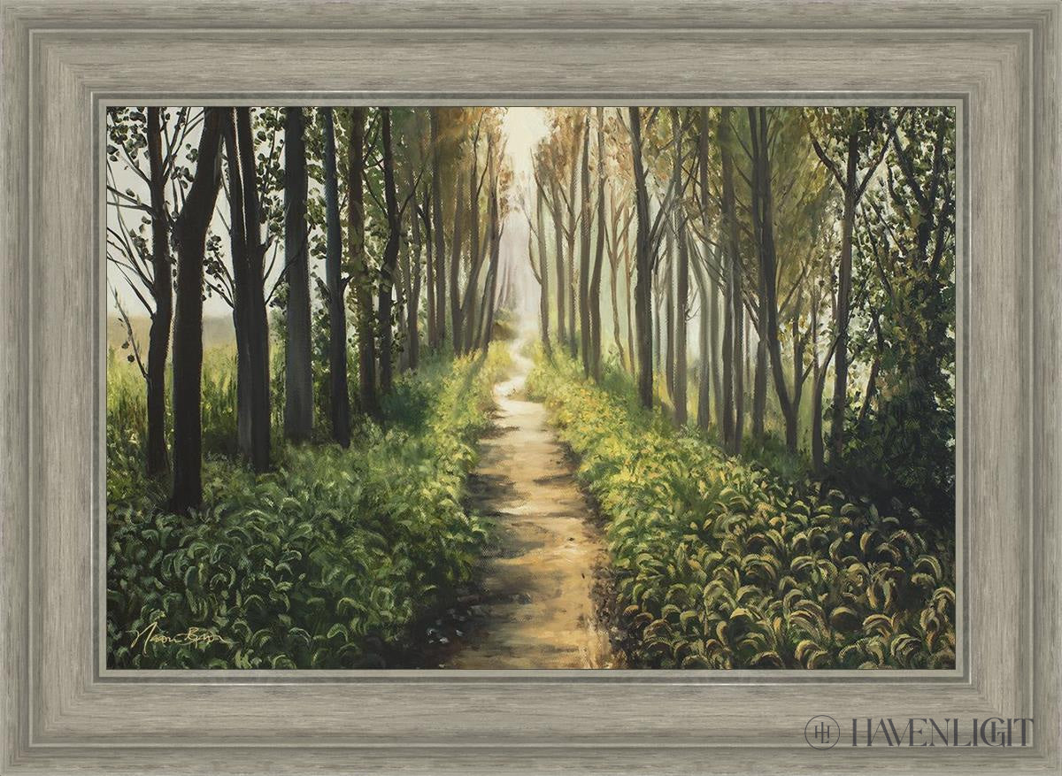 Enjoy The Beauty On Your Broken Path Forest Walkway Open Edition Canvas / 24 X 16 Gray 29 3/4 21 Art