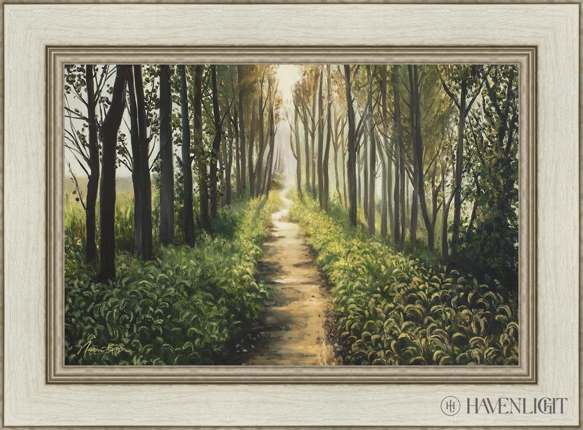 Enjoy The Beauty On Your Broken Path Forest Walkway Open Edition Canvas / 24 X 16 Ivory 30 1/2 22