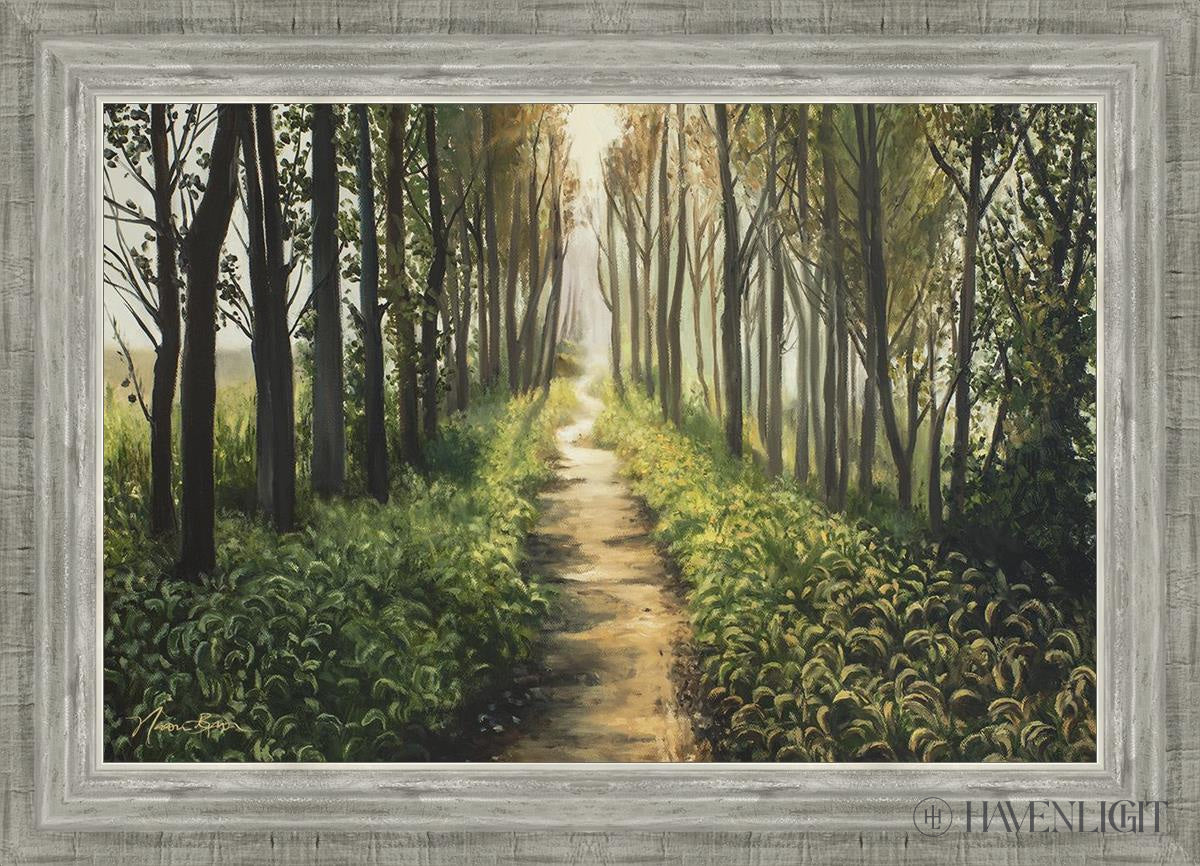 Enjoy The Beauty On Your Broken Path Forest Walkway Open Edition Canvas / 24 X 16 Silver 28 3/4 20