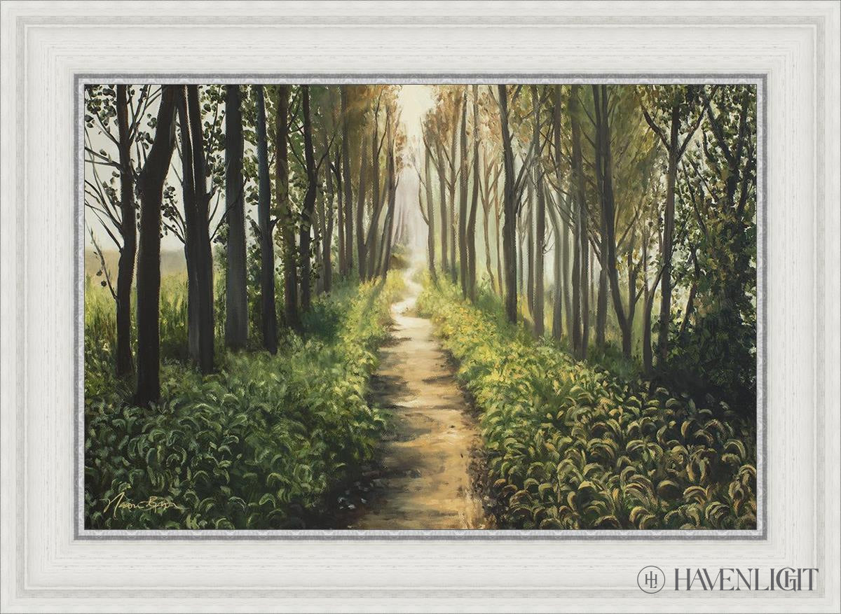 Enjoy The Beauty On Your Broken Path Forest Walkway Open Edition Canvas / 24 X 16 White 29 3/4 21