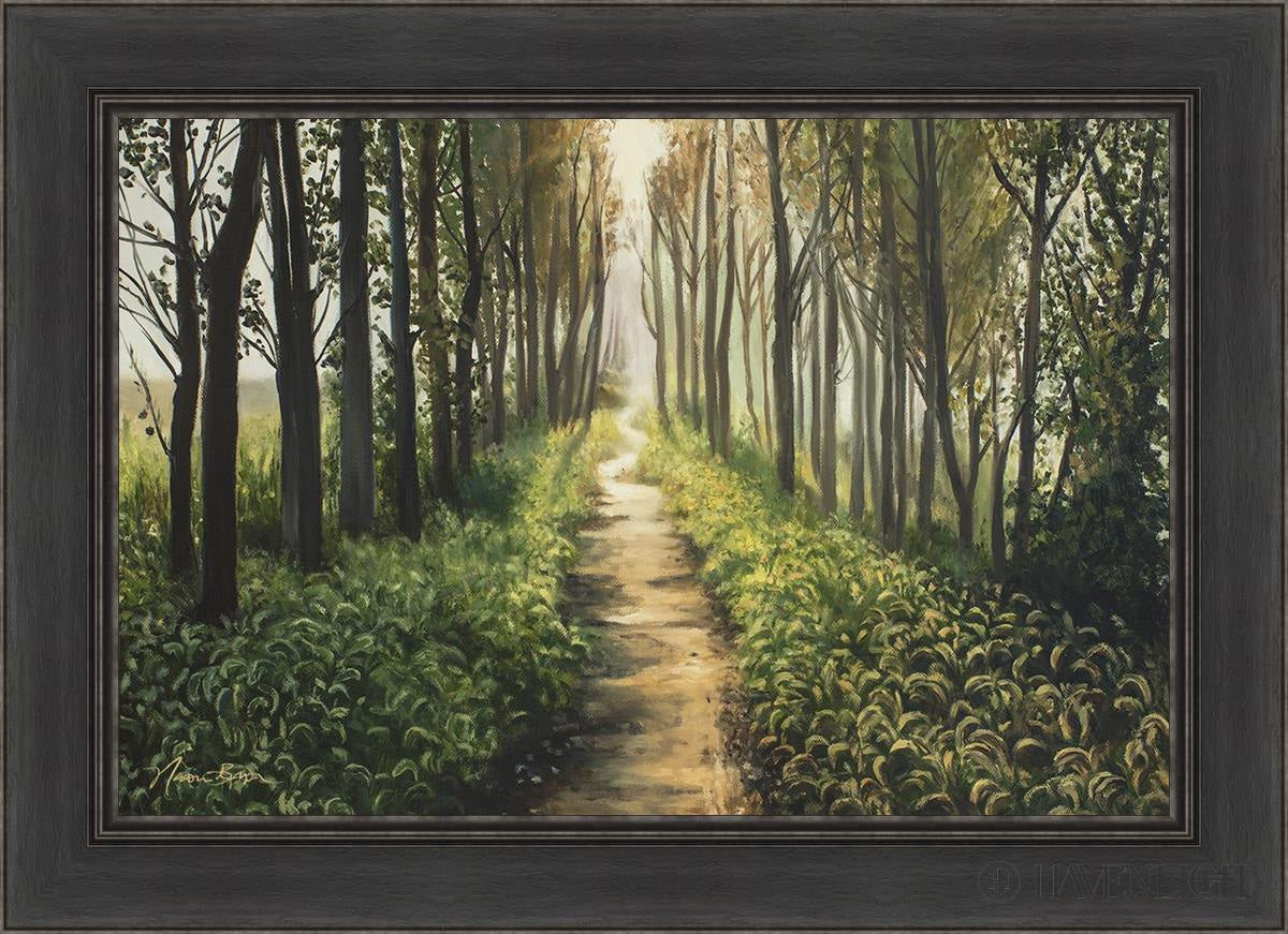 Enjoy The Beauty On Your Broken Path Forest Walkway Open Edition Canvas / 30 X 20 Black 36 1/2 26