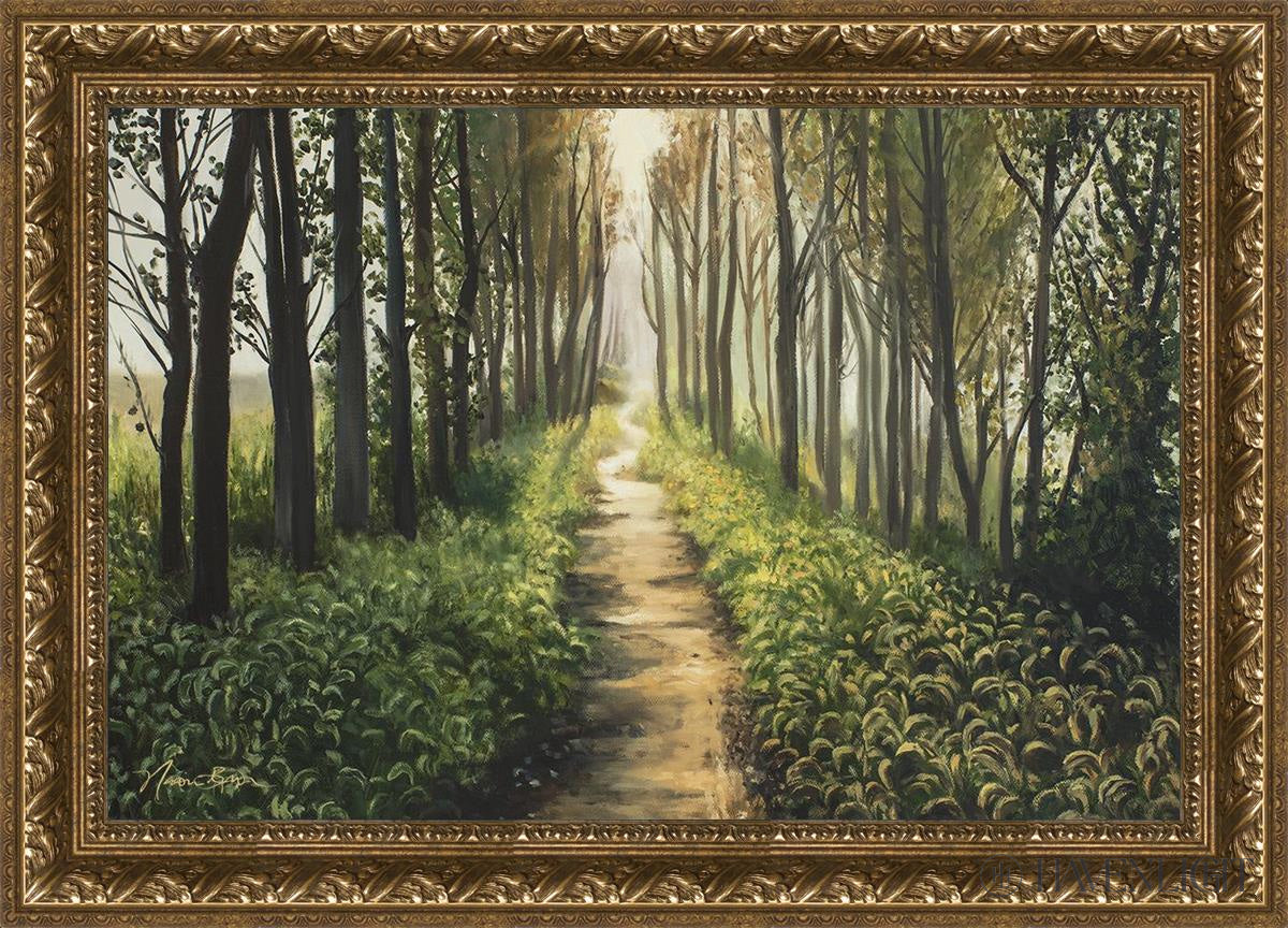 Enjoy The Beauty On Your Broken Path Forest Walkway Open Edition Canvas / 30 X 20 Gold 35 3/4 25 Art