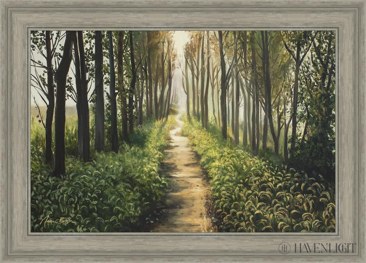 Enjoy The Beauty On Your Broken Path Forest Walkway Open Edition Canvas / 30 X 20 Gray 35 3/4 25 Art
