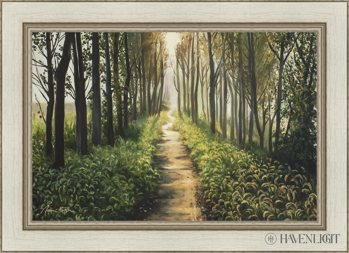 Enjoy The Beauty On Your Broken Path Forest Walkway Open Edition Canvas / 30 X 20 Ivory 36 1/2 26