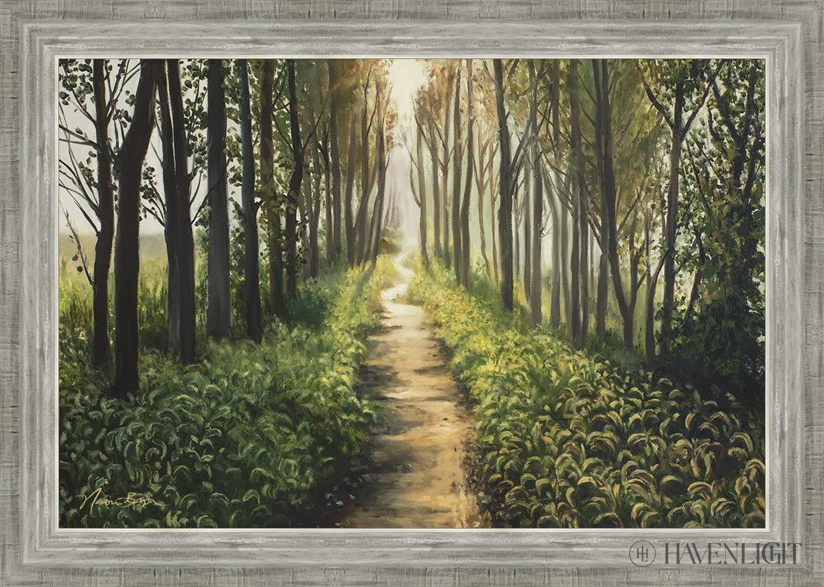 Enjoy The Beauty On Your Broken Path Forest Walkway Open Edition Canvas / 30 X 20 Silver 34 3/4 24