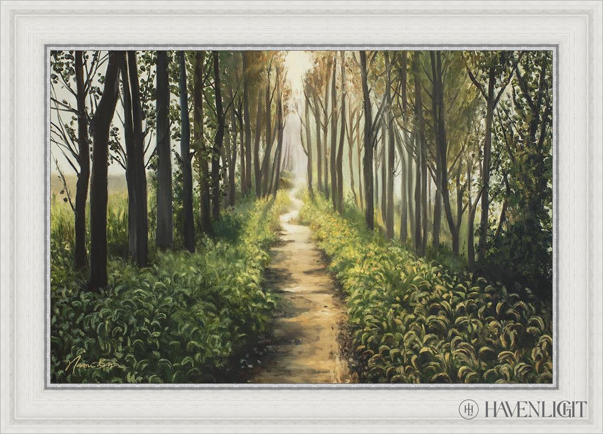 Enjoy The Beauty On Your Broken Path Forest Walkway Open Edition Canvas / 30 X 20 White 35 3/4 25