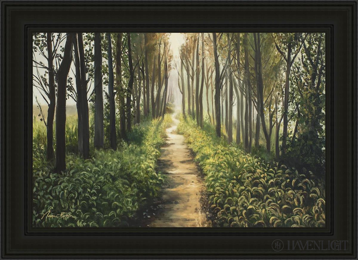 Enjoy The Beauty On Your Broken Path Forest Walkway Open Edition Canvas / 36 X 24 Black 43 3/4 31