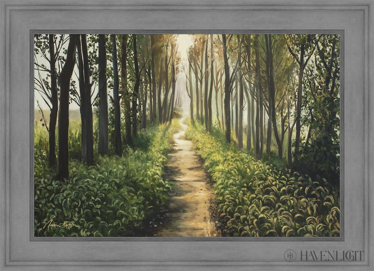 Enjoy The Beauty On Your Broken Path Forest Walkway Open Edition Canvas / 36 X 24 Gray 43 3/4 31 Art