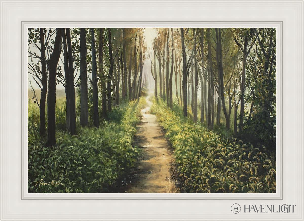 Enjoy The Beauty On Your Broken Path Forest Walkway Open Edition Canvas / 36 X 24 White 43 3/4 31