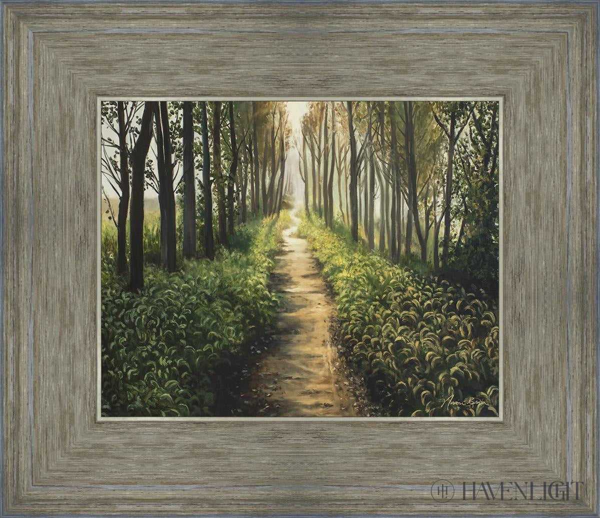 Enjoy The Beauty On Your Broken Path Forest Walkway Open Edition Print / 10 X 8 Gray 14 3/4 12 Art