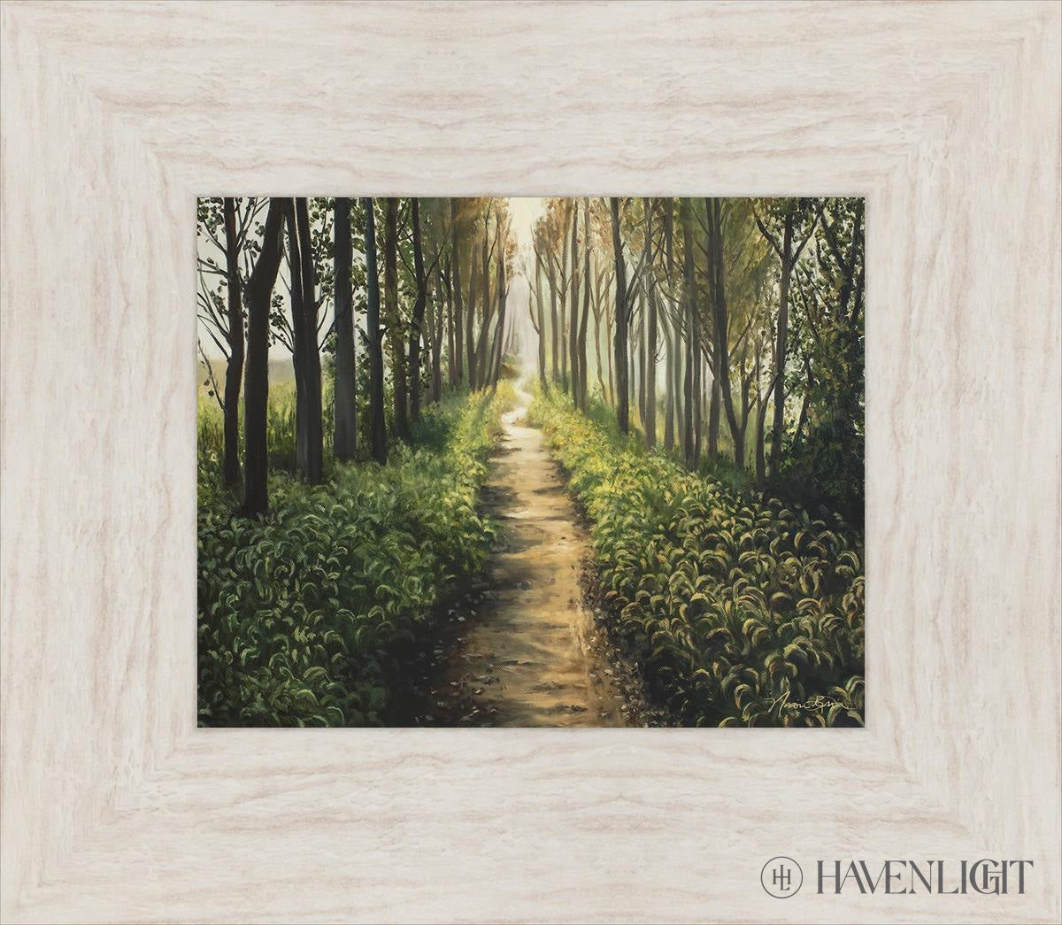Enjoy The Beauty On Your Broken Path Forest Walkway Open Edition Print / 10 X 8 Ivory 15 1/2 13 Art